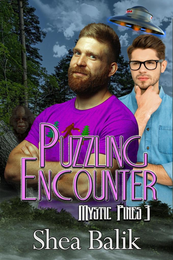 Puzzling Encounter (Mystic Pines #3)