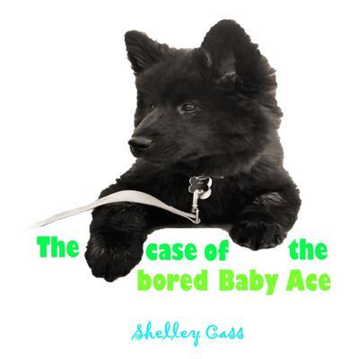The Case of the Bored Baby Ace