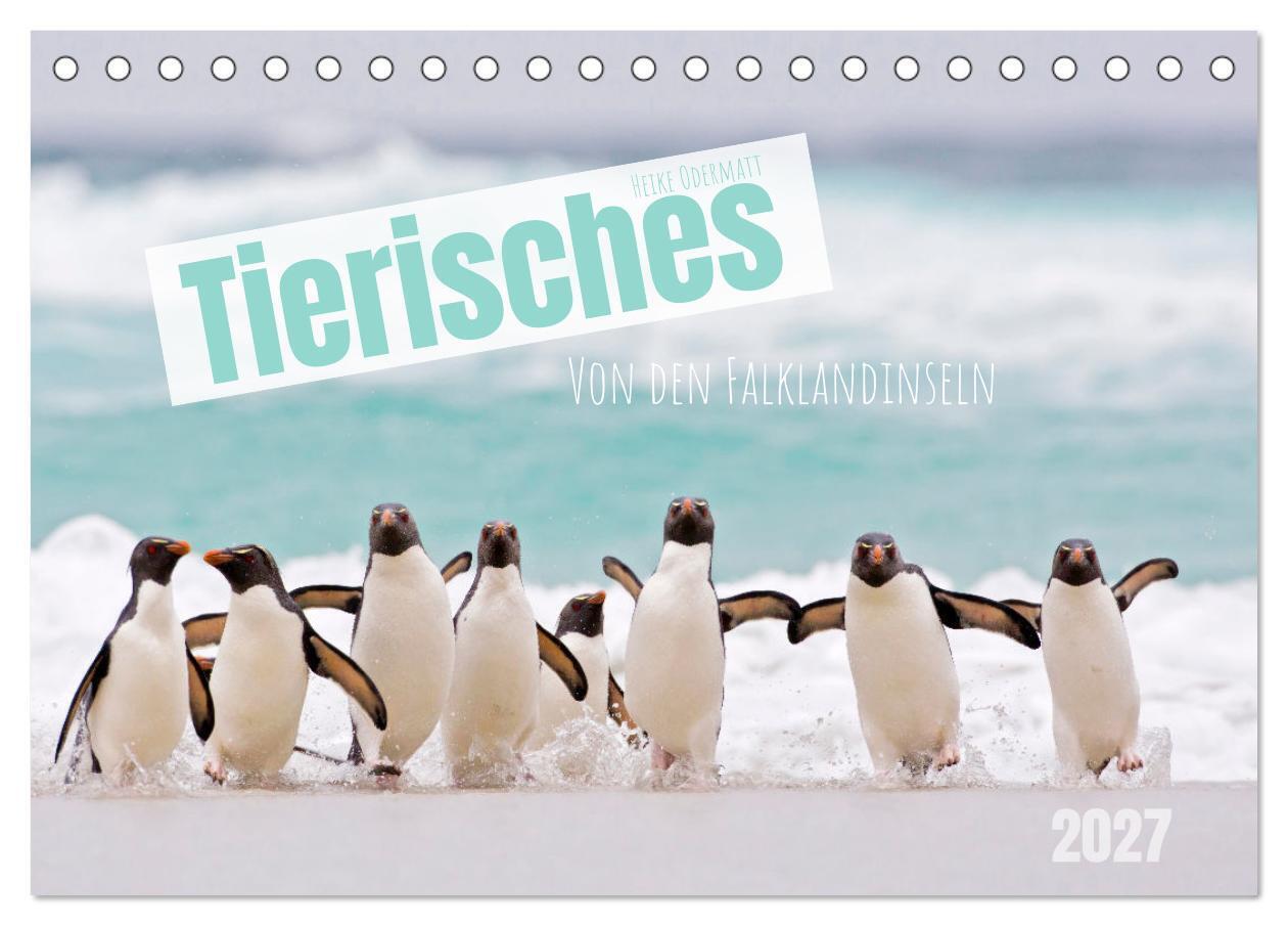 Tierisches von den Falklandinseln (Tischkalender 2027 DIN A5 quer) CALVENDO Monatskalender
