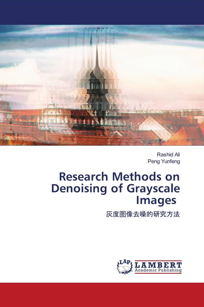 Research Methods on Denoising of Grayscale Images
