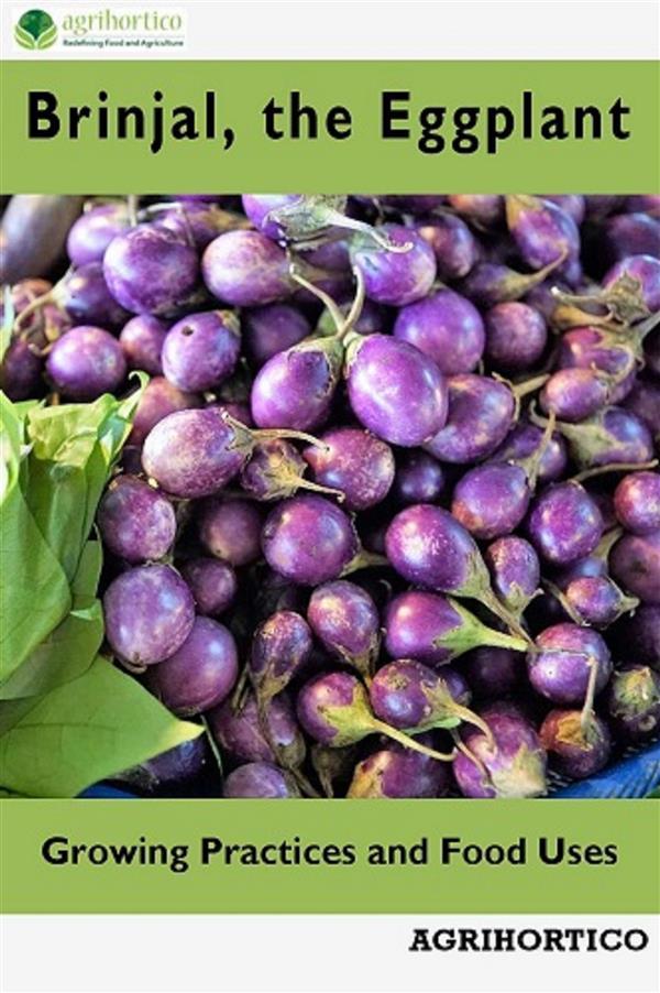 Brinjals the Eggplant
