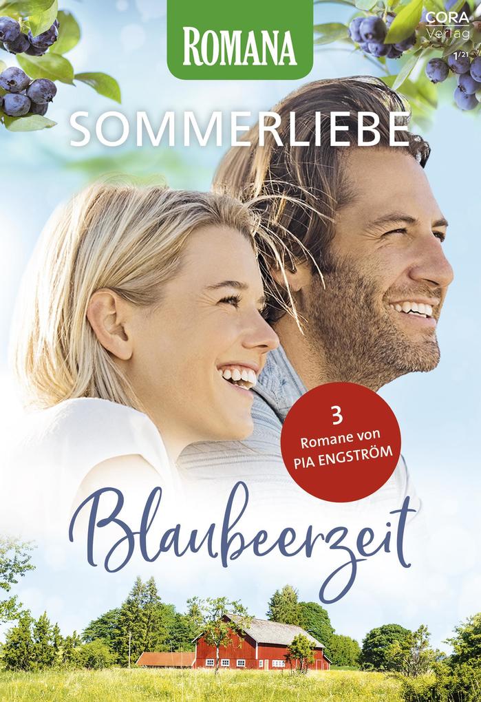 Romana Sommerliebe Band 7