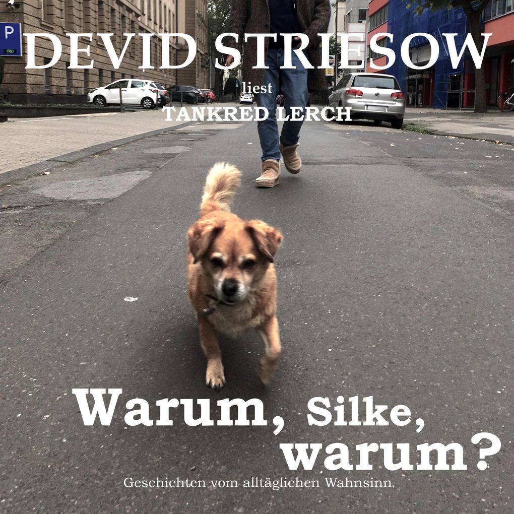 Warum Silke warum?
