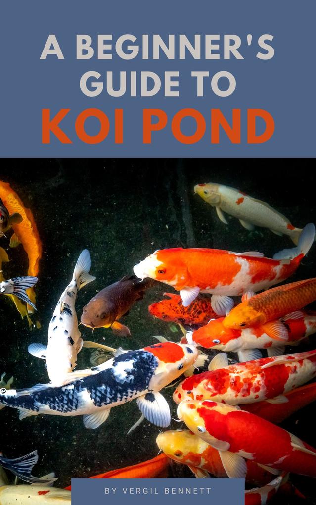 A Beginner‘s Guide To Koi Ponds