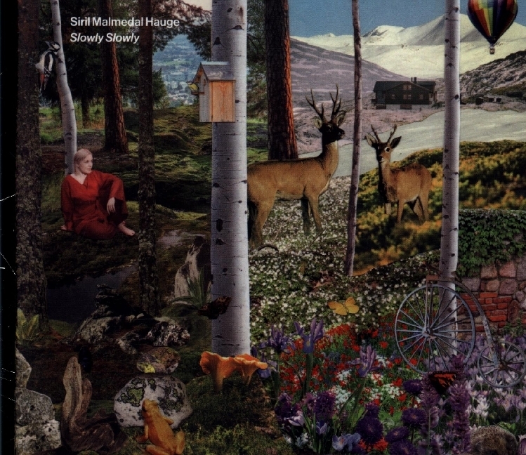 Slowlyslowly. 1 Audio-CD