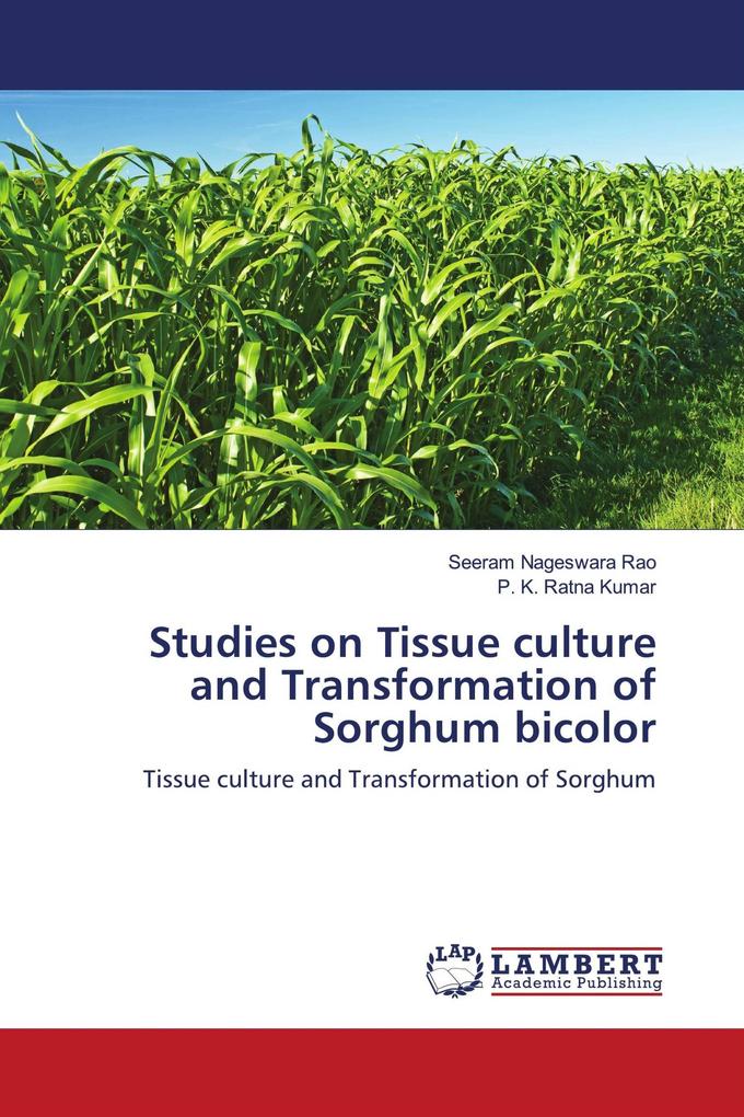 Studies on Tissue culture and Transformation of Sorghum bicolor