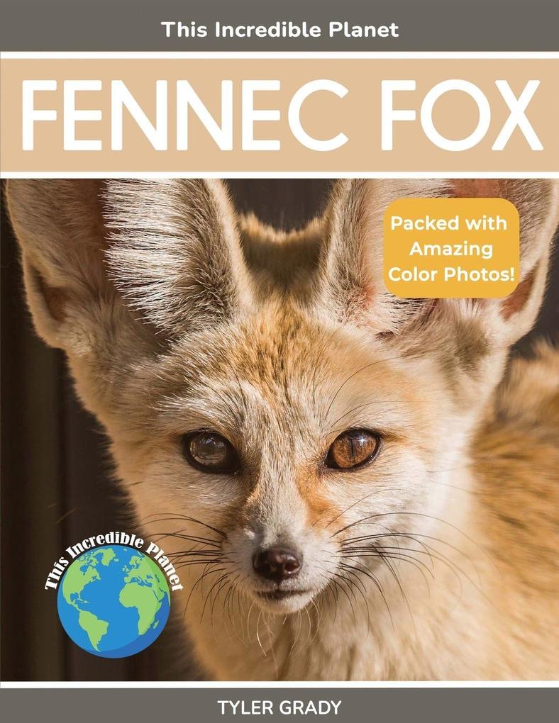 Fennec Fox