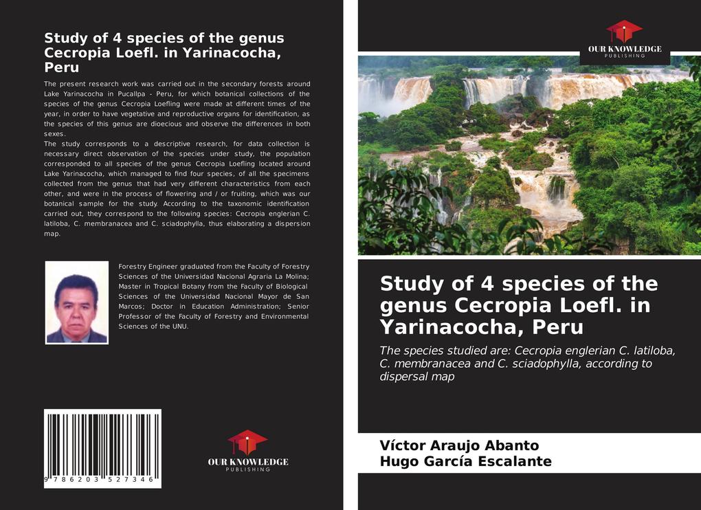 Study of 4 species of the genus Cecropia Loefl. in Yarinacocha Peru