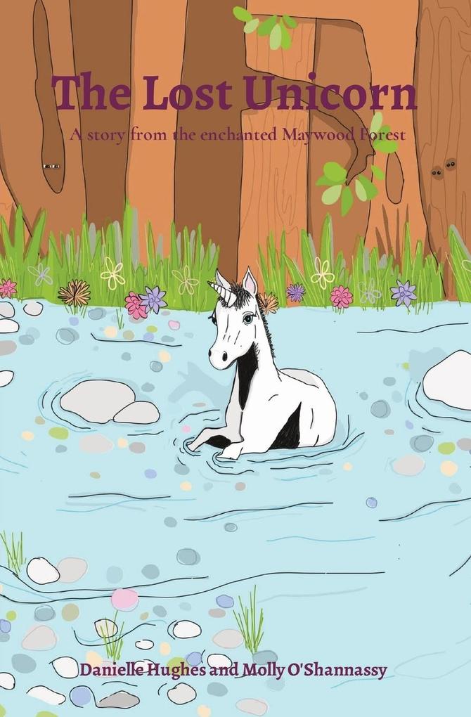 The Lost Unicorn