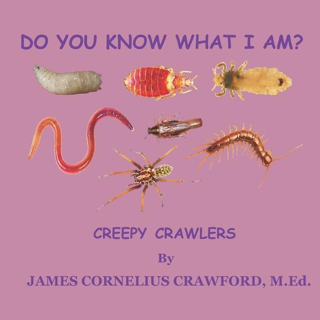 Do You Know What I Am?: Creepy Crawlers