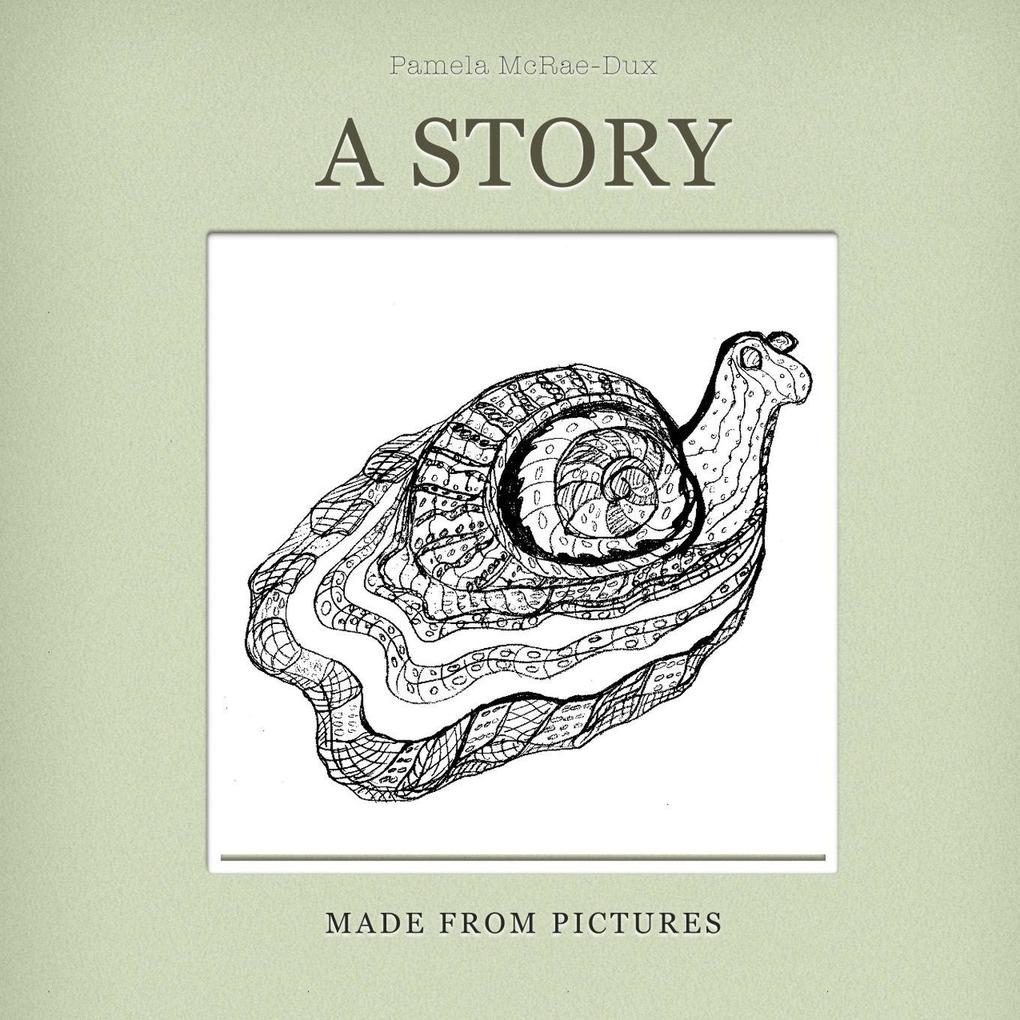 A Story Made From Pictures