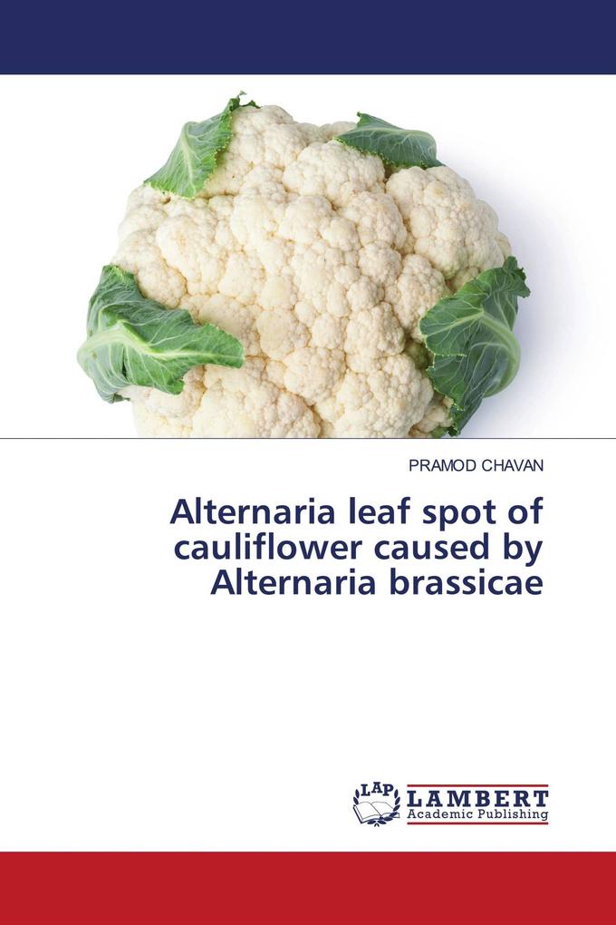 Alternaria leaf spot of cauliflower caused by Alternaria brassicae