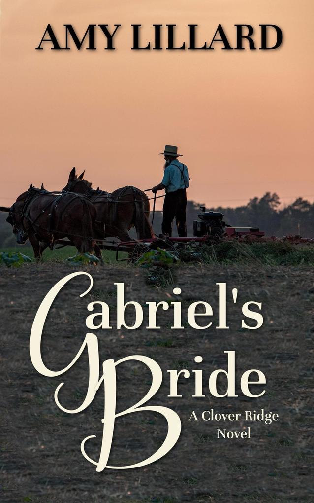 Gabriel‘s Bride (Clover Ridge Series #3)