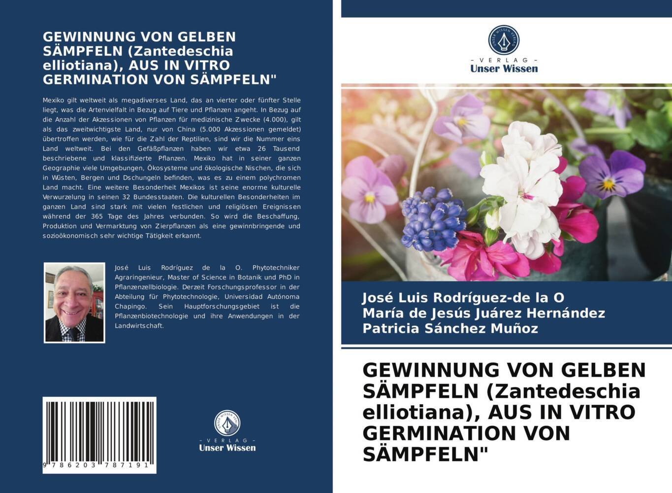 GEWINNUNG VON GELBEN SÄMPFELN (Zantedeschia elliotiana) AUS IN VITRO GERMINATION VON SÄMPFELN'