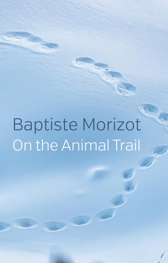 Wiley On The Animal Trail