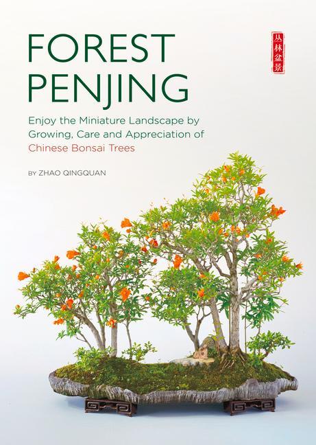 Forest Penjing: Enjoy the Miniature Landscape by Growing Care and Appreciation of Chinese Bonsai Trees