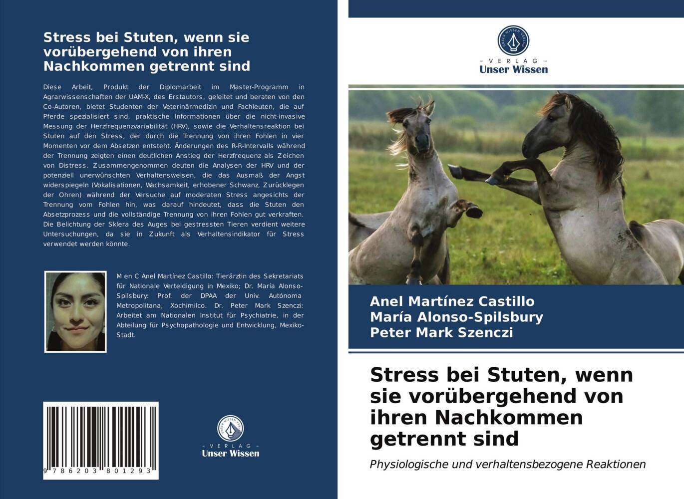 Stress bei Stuten wenn sie vorübergehend von ihren Nachkommen getrennt sind
