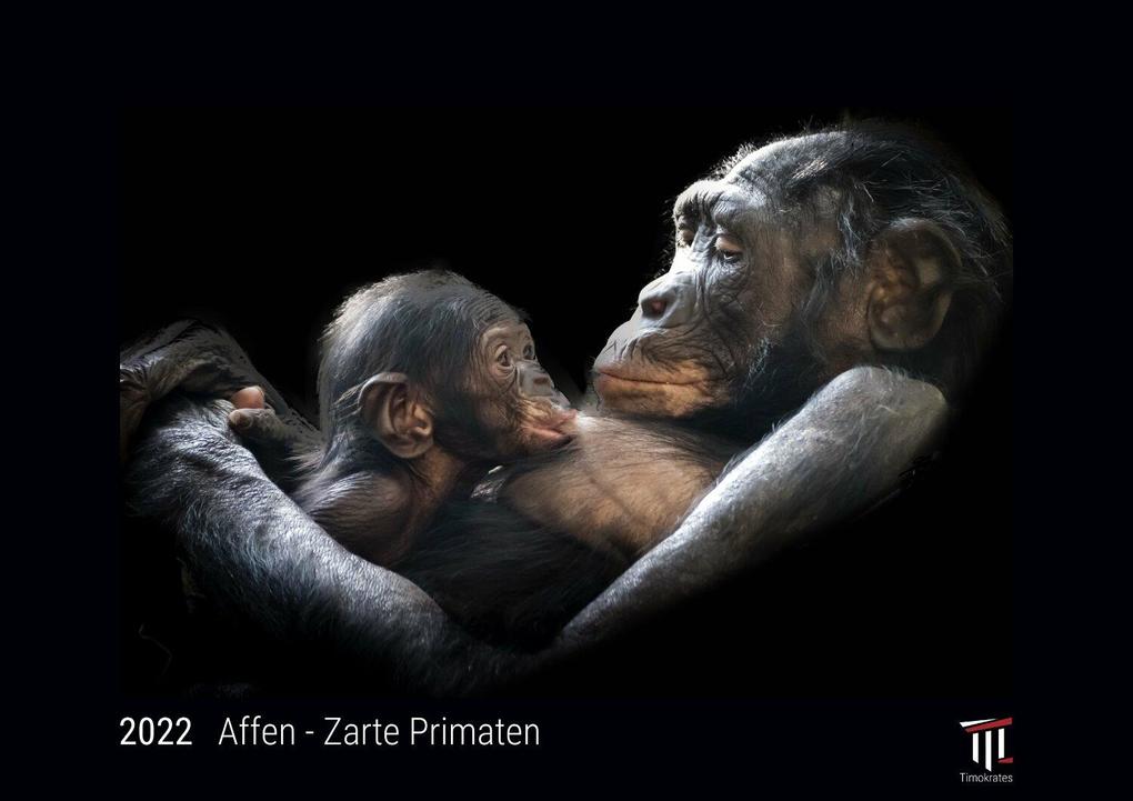 Affen - Zarte Primaten 2022 - Black Edition - Timokrates Kalender Wandkalender Bildkalender - DIN A4 (ca. 30 x 21 cm)