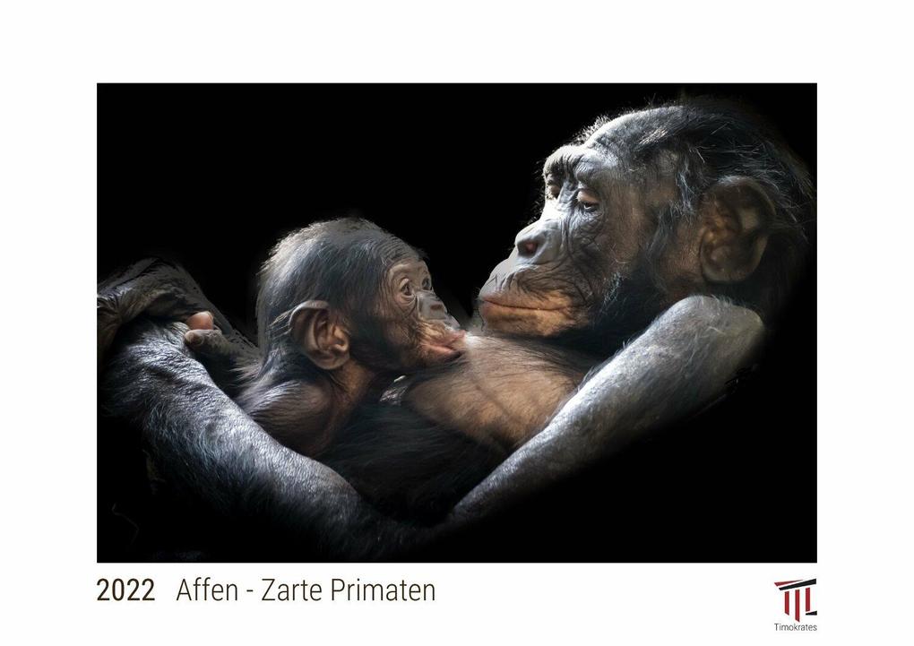 Affen - Zarte Primaten 2022 - White Edition - Timokrates Kalender Wandkalender Bildkalender - DIN A4 (ca. 30 x 21 cm)