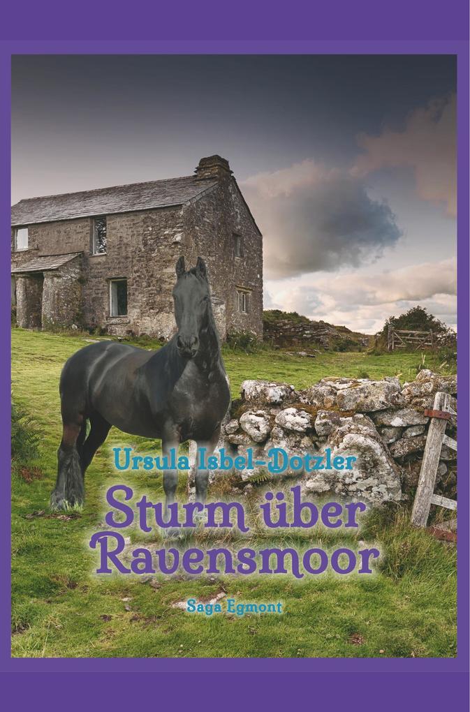 Image of Sturm über Ravensmoor