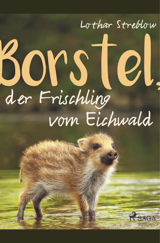 Borstel der Frischling vom Eichwald