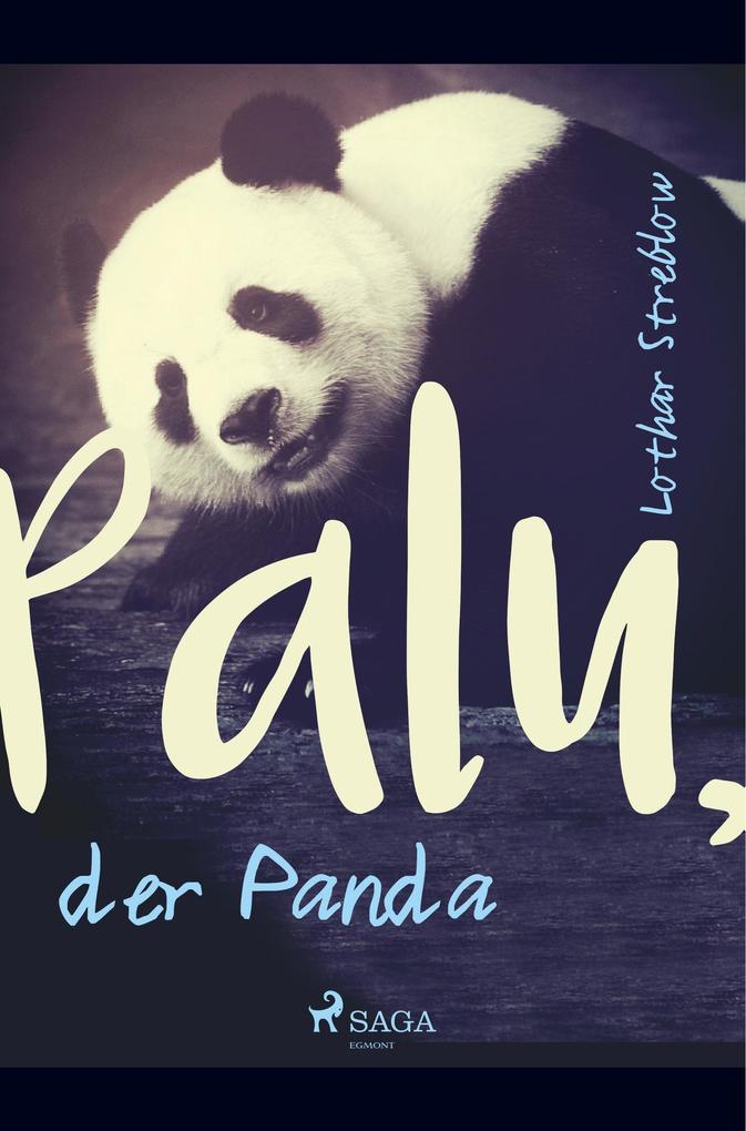 Palu der Panda