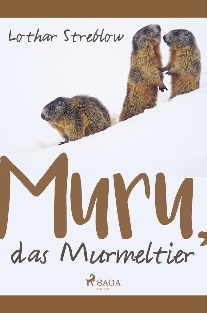 Image of Murru das Murmeltier