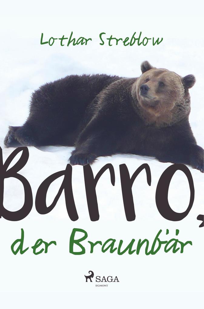 Barro der Braunbär