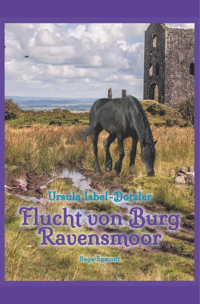 Image of Flucht von Burg Ravensmoor