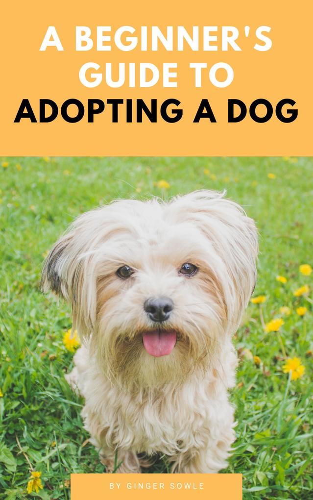 A Beginner‘s Guide To Adopting A Dog