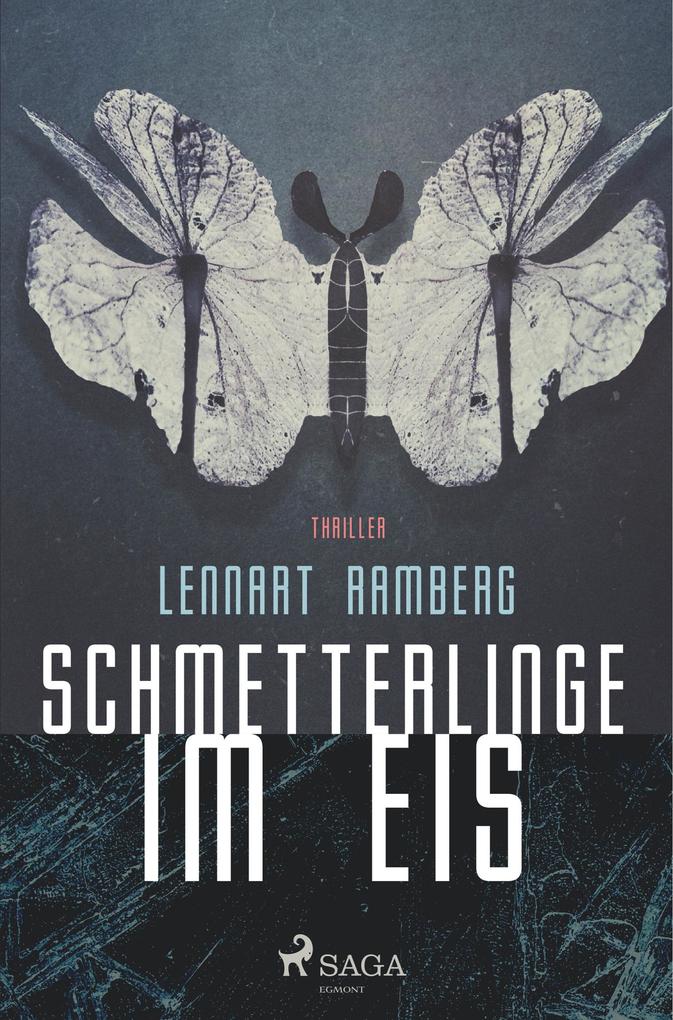 Schmetterlinge im Eis