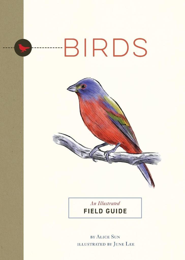 The Birds
