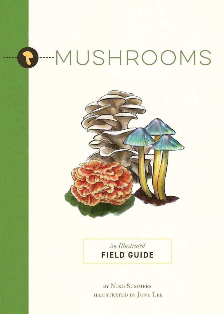 The Mushrooms