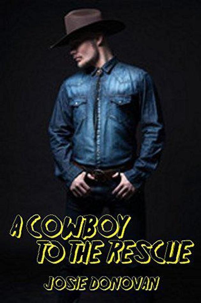 A Cowboy To The Rescue