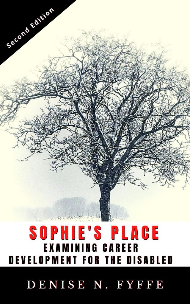 Sophie‘s Place: Examining Career Development for the Disabled