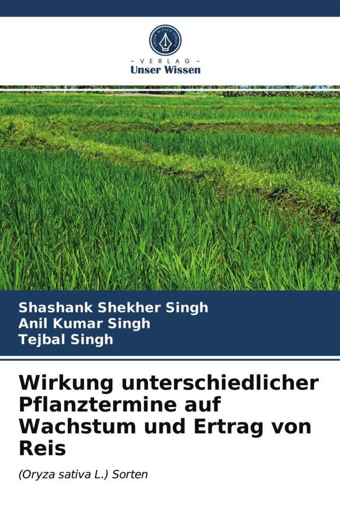 Wirkung unterschiedlicher Pflanztermine auf Wachstum und Ertrag von Reis