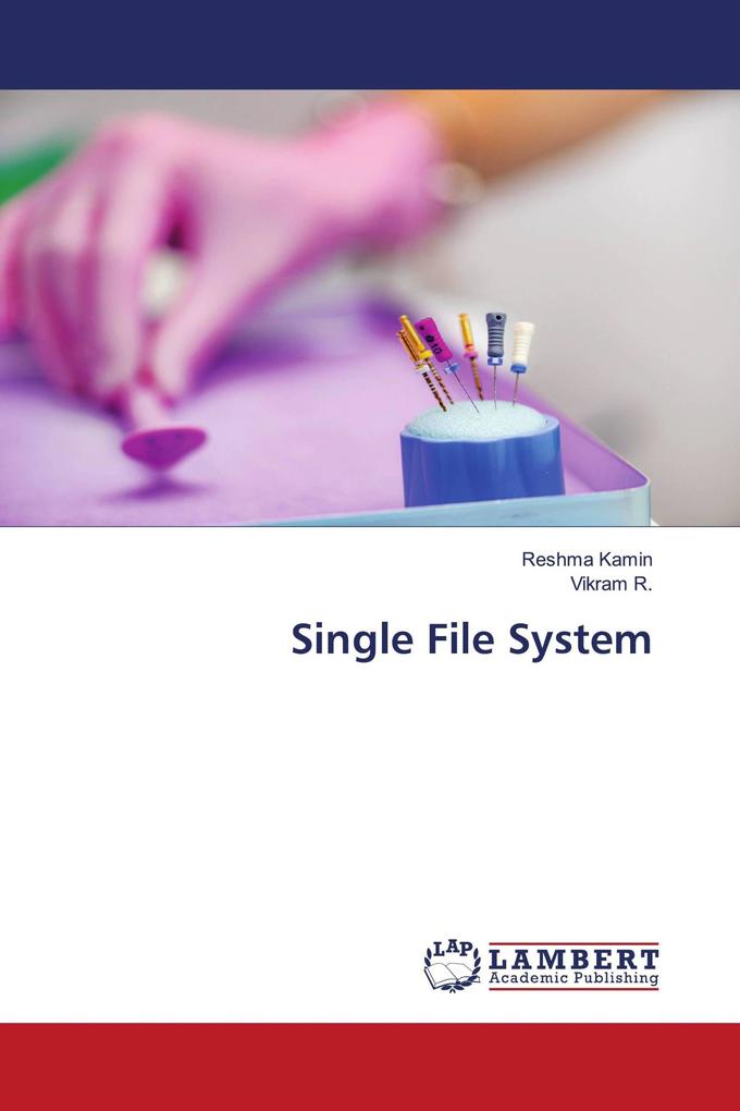 Single File System