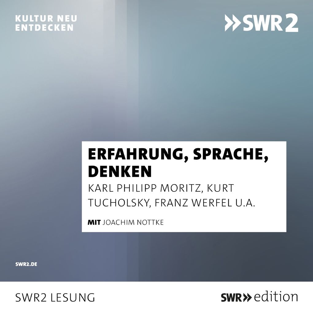 Erfahrung Sprache Denken