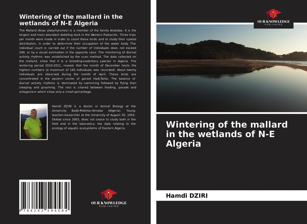 Wintering of the mallard in the wetlands of N-E Algeria