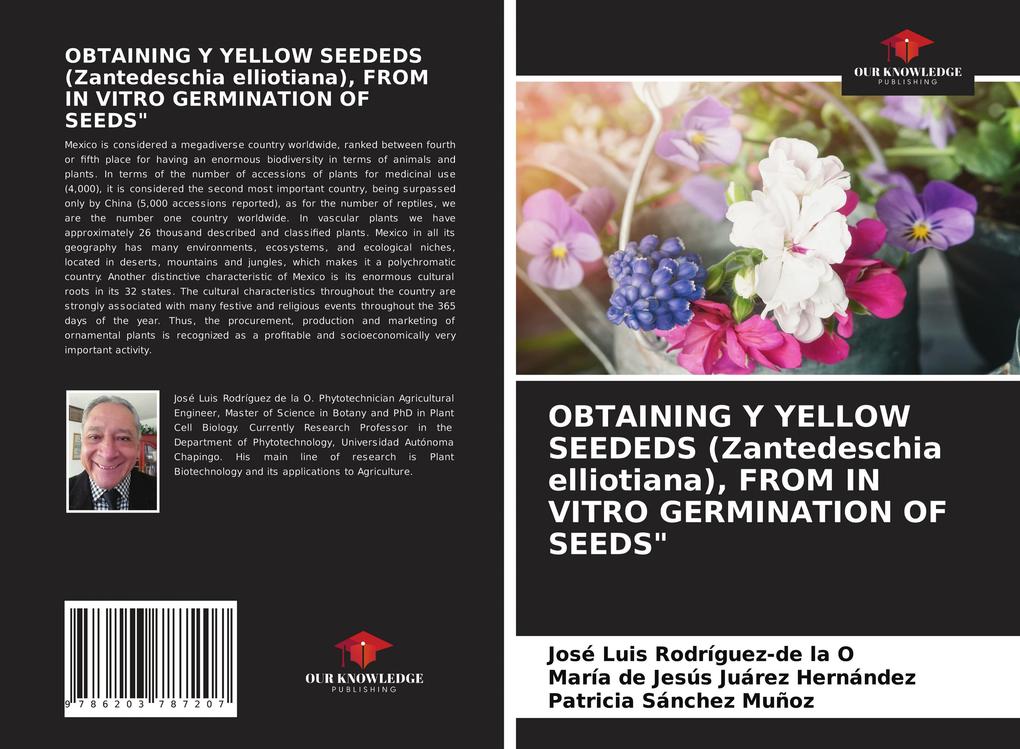 OBTAINING Y YELLOW SEEDEDS (Zantedeschia elliotiana) FROM IN VITRO GERMINATION OF SEEDS'