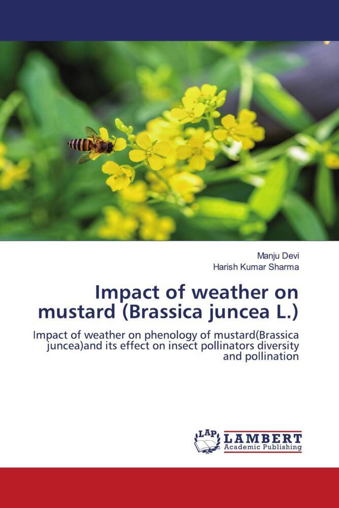 Impact of weather on mustard (Brassica juncea L.)