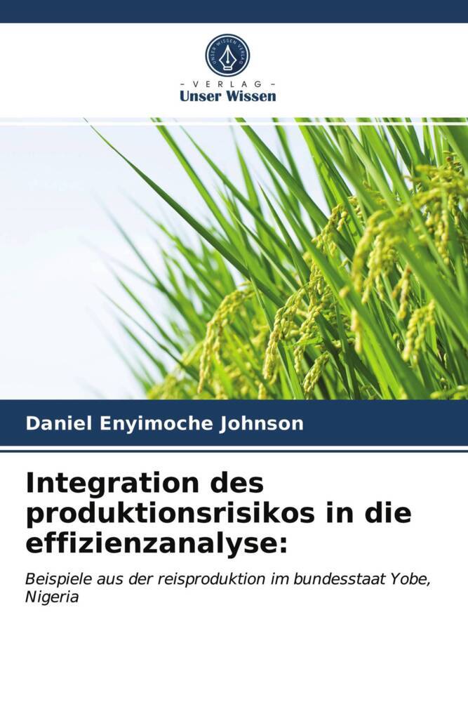 Integration des produktionsrisikos in die effizienzanalyse:
