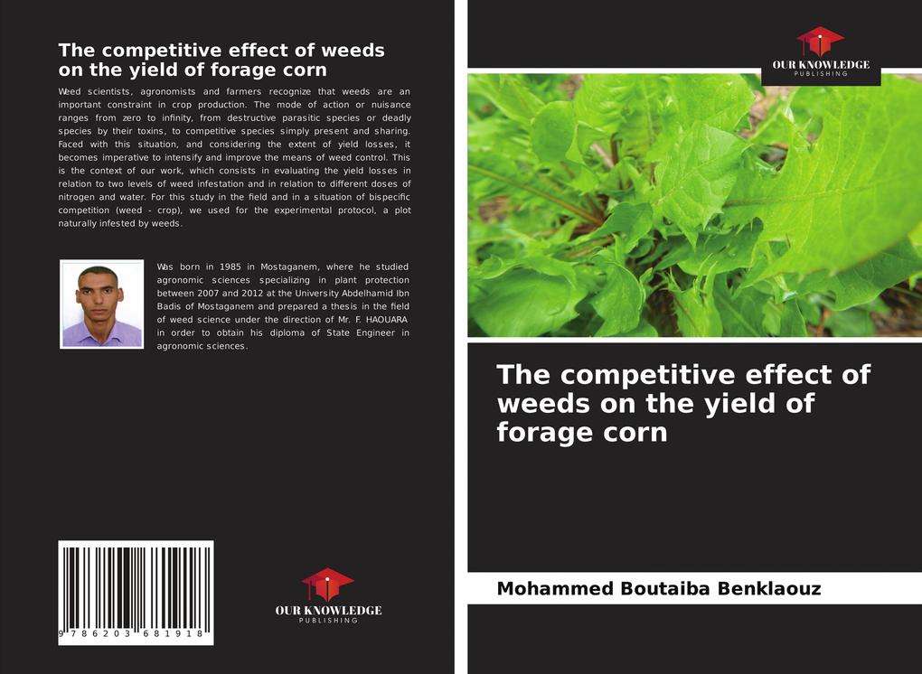 The competitive effect of weeds on the yield of forage corn