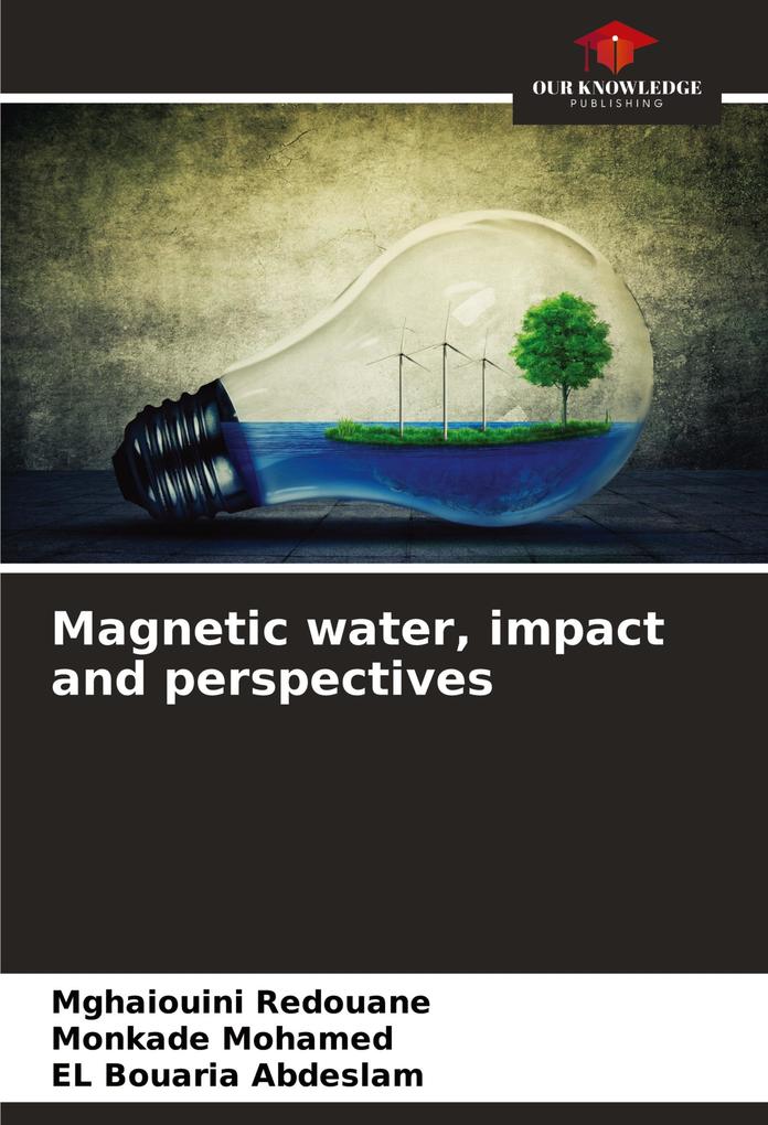 Magnetic water impact and perspectives