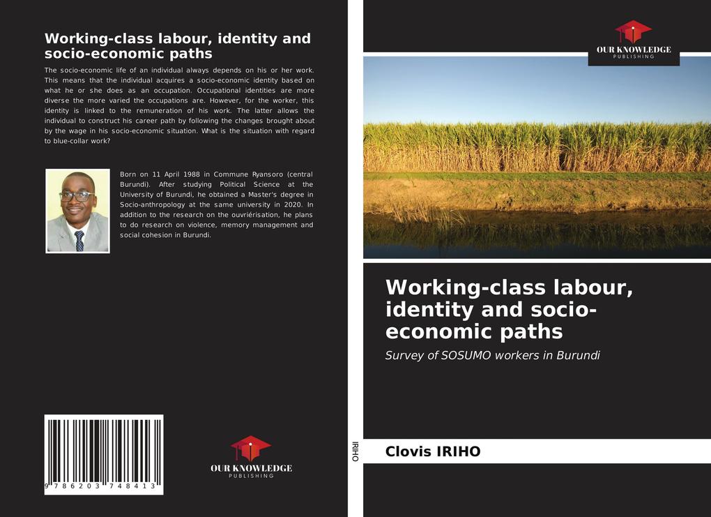 Working-class labour identity and socio-economic paths
