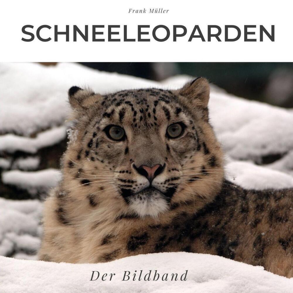 Schneeleoparden - Bibi Hübsch
