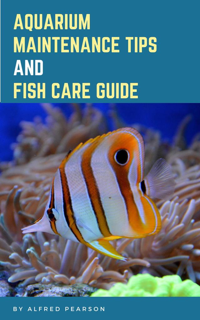 Aquarium Maintenance Tips And Fish Care Guide
