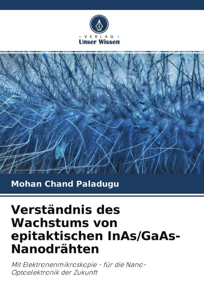 Verständnis des Wachstums von epitaktischen InAs/GaAs-Nanodrähten