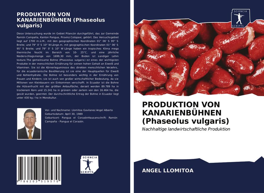 PRODUKTION VON KANARIENBÜHNEN (Phaseolus vulgaris)