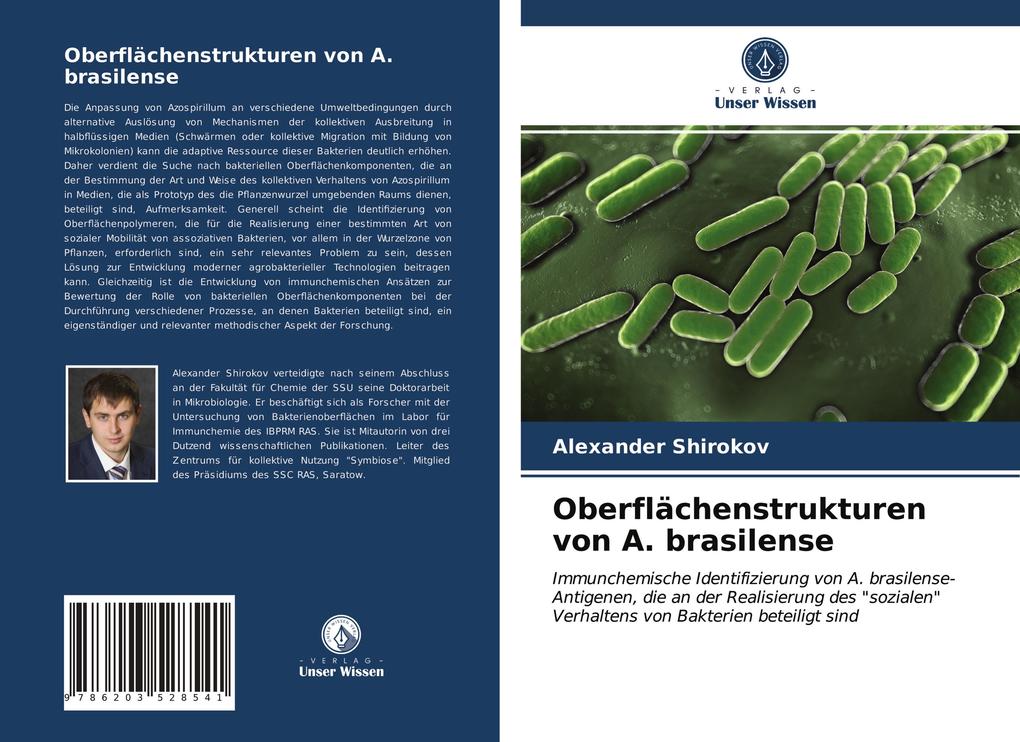 Oberflächenstrukturen von A. brasilense